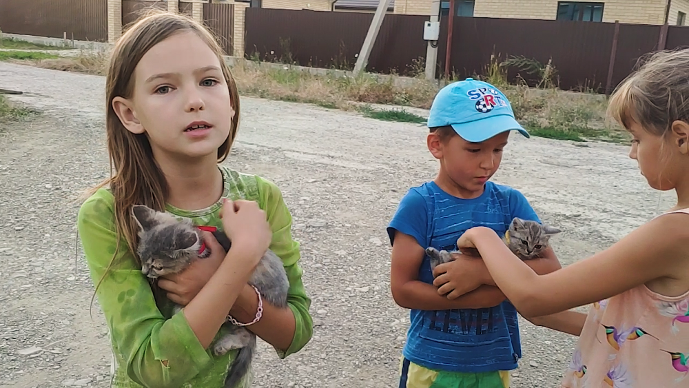 В Крымске дети спасли выброшенных на мусорку котят