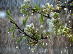 Сезон экстремальных дождей в Краснодарском крае продолжается