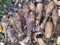 В Крымском районе грибники обнаружили в лесу 17 минометных мин