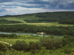 В Крымском районе появится леспопарковая зона