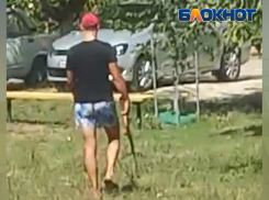В Крымске сегодня отлавливают собак: не оставляйте своих питомцев без присмотра