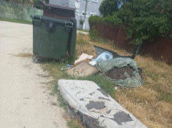 Жители улицы 3-я Шевченко возмущены тем, что мусор вокруг баков не убирается почти год