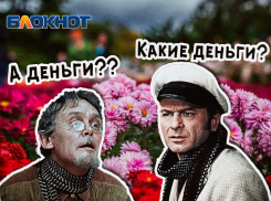В Абинске будут судить жителя Краснодара, который купил более 2 тыс. хризантем и не заплатил за них