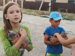 В Крымске дети спасли выброшенных на мусорку котят