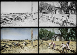 Среди неизвестных работ фотокорреспондента В.Тёмина оказалась и станица Крымская 1943-го года