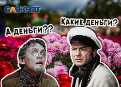 В Абинске будут судить жителя Краснодара, который купил более 2 тыс. хризантем и не заплатил за них