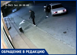  Житель Крымска продемонстрировал, как не нужно выбрасывать мусор