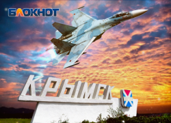 Сегодня исполняется 110 лет со дня основания российской военно-воздушной авиации!