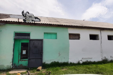 Ремонт бензотехники