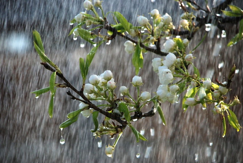 Сезон экстремальных дождей в Краснодарском крае продолжается