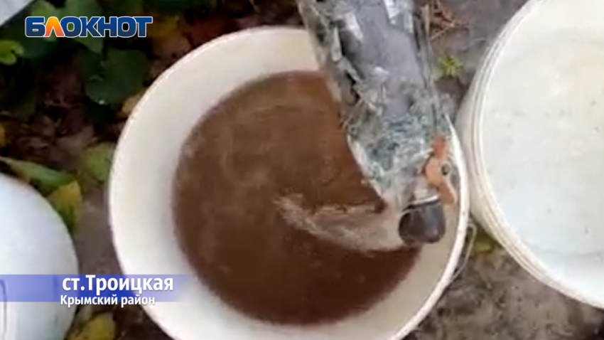 Жители станицы Троицкой страдают от качества воды
