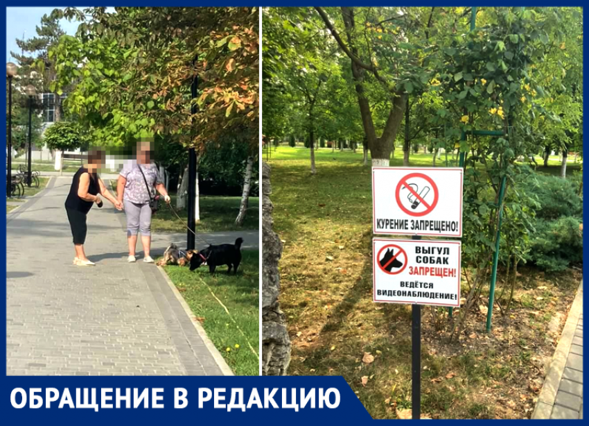 Жительница Крымска осталась недовольна тем, что в центральном парке выгуливают собак