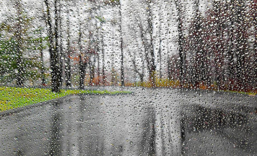 Последний день весны на Кубани будет дождливым