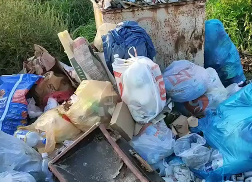 В станице Троицкой мусорные контейнеры обрастают мусором