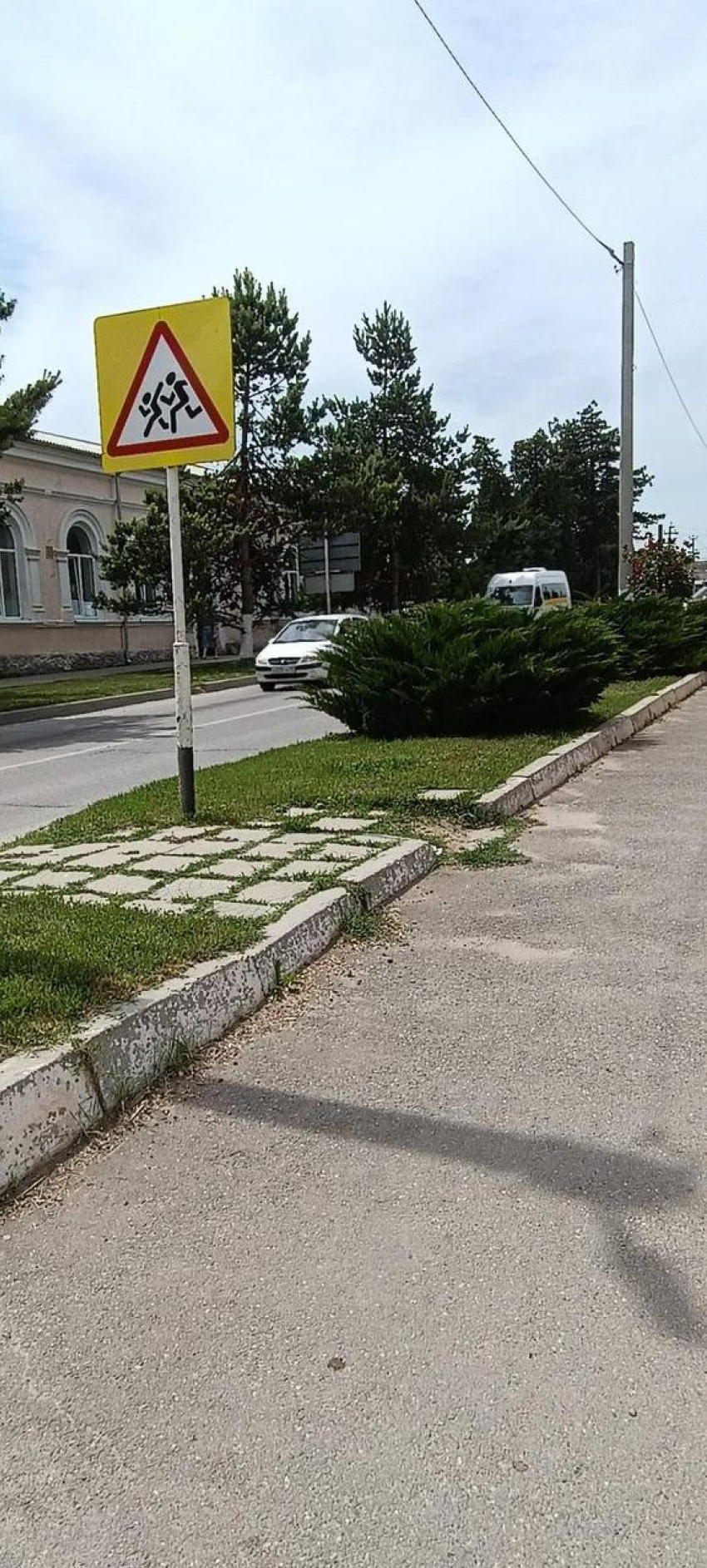 В Крымске растение мешает хорошему обзору дороги